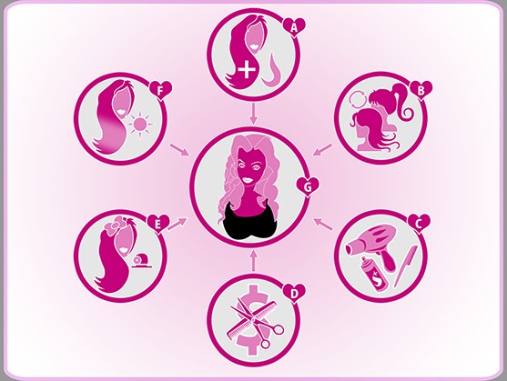 “The basic elements of bimbo hairstyling”
